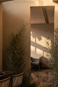 A tranquil dining area featuring wooden chairs with woven seats, dark dining table, abundant bamboo plants, and warm sunlight casting striped shadows on beige walls and wooden floor.
