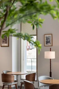 Modern cafe interior featuring round wooden tables, walnut bentwood chairs, a tall floor lamp, framed art, and a large window with blinds letting in natural light, partially framed by foreground plant leaves.