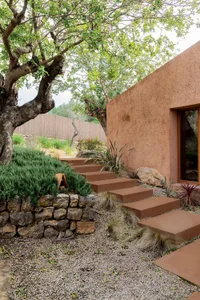 Outdoor garden featuring floating terracotta concrete steps, a large olive tree, dry-stone retaining wall, and textured terracotta plaster building wall under natural daylight.