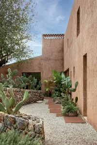 Sunlit courtyard between rammed earth buildings featuring prickly pear cacti, tropical plants, stone retaining walls, and terracotta stepping stones on a gravel path under a clear blue sky.