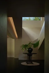 Modern architectural interior featuring a sculptural staircase with dark wood paneling, a black ceramic pot with large green plants on a dark wooden pedestal table, and dramatic natural light from a high window.