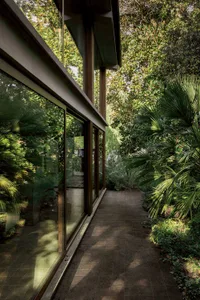 Modern house corridor with large floor-to-ceiling glass windows framed in dark teak wood, opening directly onto a lush tropical garden filled with palm trees and dense foliage under bright daylight.