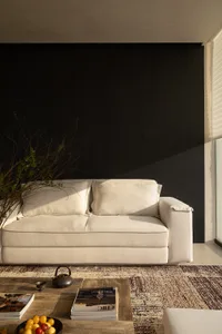 A contemporary living room featuring a light beige linen sofa, dark wood accent wall, wooden coffee table with magazines and a black teapot, and a patterned area rug.