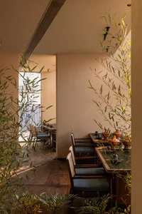Elegant Chinese restaurant interior featuring dark wood dining tables, upholstered chairs, and lush bamboo plants creating natural framing and soft shadows on herringbone wood flooring.