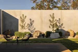 Modern minimalist garden with a large concrete wall, black Acapulco chairs on a wooden deck, large natural boulders, young trees in planters, and stepping stones on a lawn during golden hour.