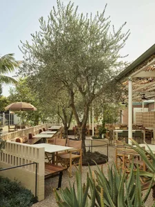 Outdoor restaurant patio shaded by a large olive tree, featuring wooden tables, canvas director chairs, concrete block planters, and gravel ground cover under a pergola with string lights.