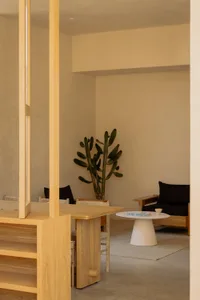 Minimalist open-plan living and dining area featuring light oak dining table and chairs with woven seats, a large potted cactus, a round white pedestal coffee table, and a black cushioned wooden lounge chair on a neutral area rug.