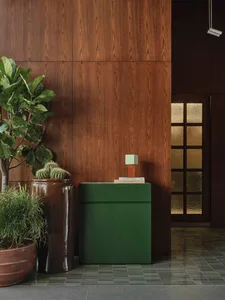 Modern entryway featuring a forest green two-door console cabinet, warm walnut wood paneling, a large fiddle leaf fig tree in a brown ceramic pot, and dark tiled flooring.