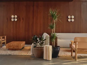 Modern living room featuring dark walnut wood panel walls, a large burl wood cube coffee table, light beige sofa, wooden armchair, potted plants, and layered area rugs on a tiled floor.