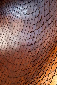 Close-up view of a curved wall entirely covered in overlapping dark walnut wooden scales with a glossy finish.