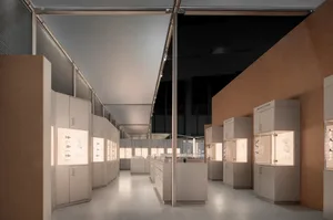 Modern minimalist jewelry store interior with oak paneling, white display cabinets, and integrated LED lighting illuminating jewelry pieces.