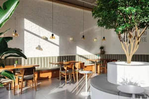 Bright modern cafe interior with white painted brick wall, wooden tables and chairs, upholstered banquette seating, and a large circular white planter with a mature tree under warm pendant lighting.