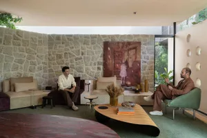 Modern living room featuring a dramatic curved natural stone wall, mixed burgundy and beige velvet sofas, a green swivel armchair, and an organic-shaped wooden coffee table with a large abstract painting in the background.