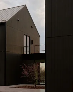 Modern dark charred wood barn-style house exterior featuring a second-floor balcony with cable railing, large windows, and a small red-leafed tree in the foreground.