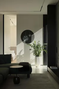 Modern minimalist living room featuring a dark green sectional sofa, round side table, large potted ZZ plant, circular wall art, and dramatic diagonal sunlight stripes on a light concrete wall.