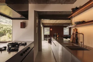 Modern brutalist kitchen featuring a concrete island with gas cooktop, stainless steel sink, wooden floating shelves, and a view through to a timber-clad living room with high concrete ceilings.