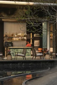 Luxury hotel lobby featuring a green marble coffee bar, woven rattan armchairs, and a foreground reflecting water pond with tree branches in the foreground.
