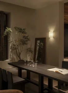 Modern minimalist dining room featuring a long dark wood table, matching chairs, a tall potted tree, an oversized wooden floor mirror, and a cylindrical wall sconce casting soft light and strong shadows.