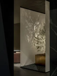 Modern minimalist entryway featuring a backlit olive tree in a brass planter against a white translucent screen, with dark marble walls and dramatic tree shadows.
