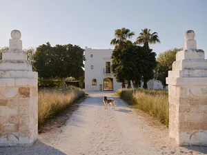 A German Shepherd stands on a gravel path between two large weathered limestone gate pillars, leading toward a white Mediterranean-style villa surrounded by palm trees and tall grasses under a clear blue sky.