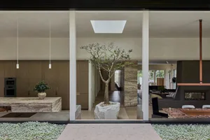 Modern open-plan living and dining area featuring a large indoor tree planted in a travertine boulder, stone kitchen island, wooden cabinetry, and a linear fireplace in the background.