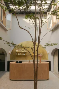 Modern courtyard bar featuring a curved light-wood counter, golden brass arched backdrop, built-in bottle shelves, copper beer tap, and a mature indoor tree, all set on a terrazzo floor under a large skylight.