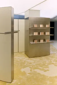 Modern minimalist retail interior featuring a tall brushed stainless steel display shelving unit with integrated lighting, set on a thick, abstract-patterned chartreuse and cream carpet.