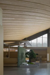 Modern minimalist entrance hall featuring a dramatic curved wooden ceiling, concrete elements, a large bonsai tree on a stone platform, and green slatted room divider.