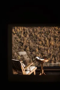 Wooden armchair with light cushion and side table placed in front of a large window overlooking a dense autumn forest with golden and brown foliage.