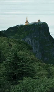 A golden statue and traditional Chinese temple buildings situated on the edge of a steep rocky cliff surrounded by lush green forested mountains and mist.