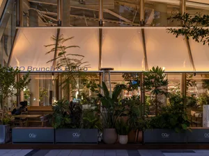 Night view of Oco Brunch & Bistro's lush outdoor terrace filled with various tropical plants in concrete planters, with warm interior lighting glowing through large glass windows.