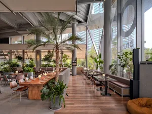 Modern biophilic restaurant interior featuring a large central palm tree, concrete pillars, wooden tables, and floor-to-ceiling windows overlooking city buildings.