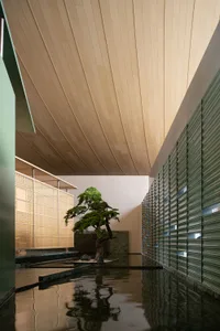 Modern indoor Japanese courtyard featuring a large bonsai tree, shallow reflecting pool, wooden slat ceiling, green textured wall panels, and woven wooden screens.