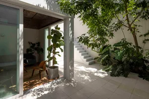 View from a modern living room through large glass doors into a bright outdoor courtyard featuring a large potted fiddle leaf fig, wooden chair, white staircase, and abundant greenery under strong natural sunlight.