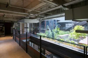 View of a modern industrial-style interior with exposed concrete ceiling, dark wood paneling, black metal railings, and a large sunken indoor garden filled with various green plants and trees, illuminated by natural light through floor-to-ceiling glass walls.