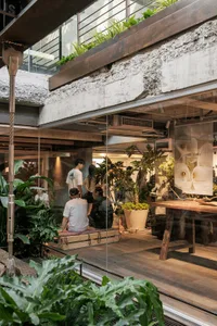 Modern industrial-style cafe interior featuring raw concrete walls, wooden benches, abundant tropical plants, and people relaxing in a bright, open space with large glass windows.