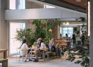 Women sitting at wooden tables surrounded by numerous large potted plants inside a modern concrete industrial-style cafe with high ceilings and natural light.