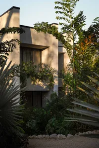 Modern concrete house with large windows partially hidden behind dense tropical plants and palm trees at golden hour.