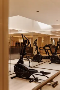 Modern home gym interior with black elliptical trainer in foreground, full-height mirror wall reflecting multiple machines, light wood flooring and warm ambient lighting.