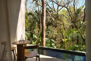 A minimalist wooden bistro table and chair sit beside a narrow plunge pool, with a lush tropical forest and tall trees visible beyond the open-air space.