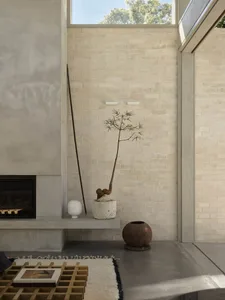 Modern minimalist living room featuring a concrete and limestone fireplace wall, a tall sculptural potted tree, woven rug, and wooden coffee table under bright natural light.