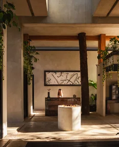 Modern tropical lobby interior with concrete fire pit in foreground, dark wood reception desk, large abstract artwork, wooden columns, and abundant hanging plants under bright natural light.