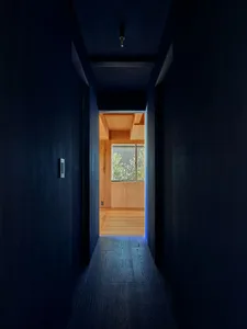 Narrow dark hallway with charred wood walls and floor leading toward a brightly lit room with light wood walls and flooring, featuring a window with greenery outside.