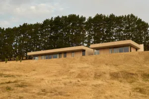 Modern single-story house with light wood cladding situated on a dry golden grass hillside with dense pine trees in the background.