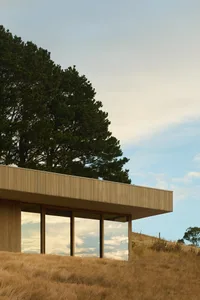 Modern minimalist house with horizontal light wood cladding, large reflective glass windows, set on a dry grassy hillside beneath a tall pine tree against a clear blue sky.