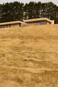 Modern single-story wooden house with extensive glazing partially embedded into a dry grass-covered hill, surrounded by tall pine trees in the background.