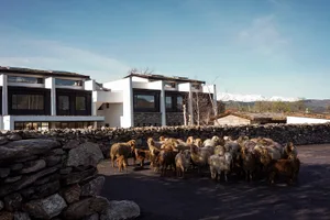 Herd of sheep standing in a paved courtyard surrounded by traditional dry stone walls in front of a modern white and dark-wood mountain house with snow-capped peaks in the background.