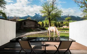 Modern wooden terrace with two beige lounge chairs, a black reflection pool, and a white horse grazing in a green meadow with snow-capped mountains in the background.