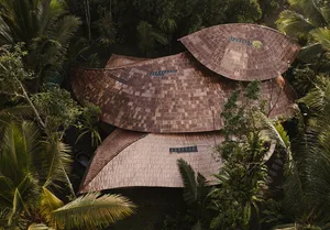 Aerial view of an organic tropical house with sweeping curved wood shingle roofs surrounded by dense jungle and palm trees.