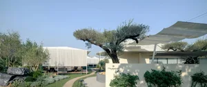 Modern Mediterranean villa garden featuring a large olive tree, white fabric sail shades, natural stone walls, gravel path, and contemporary outdoor seating area under a clear blue sky.